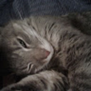 Meet your Posher, Ella